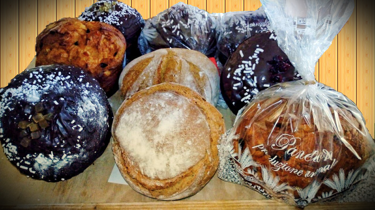 Panettoni