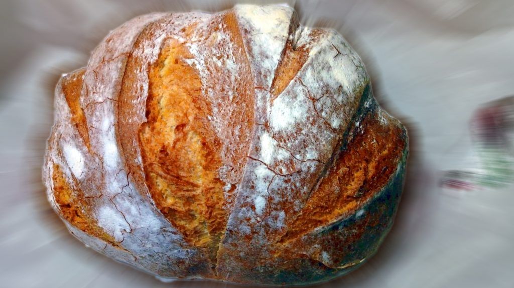 Pagnotta